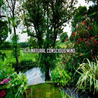 16 Un esprit conscient naturel (2022 This Way Is Diagonal Records)