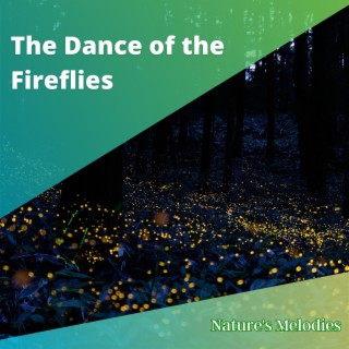 The Dance of the Fireflies