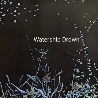 Watership Drown