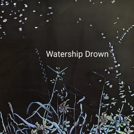 Watership Drown | Boomplay Music