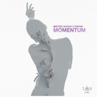 Momentum