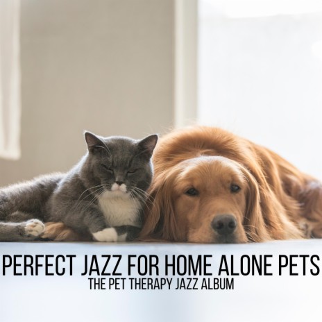 Jazz to Help Pets Settle | Boomplay Music