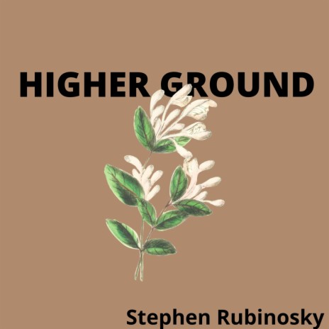 Higher Ground | Boomplay Music