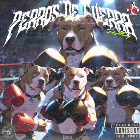 PERROS DE GUERRA | Boomplay Music