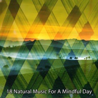 18 Musique naturelle pour une journée pleine d'esprit (2022 La vie dans les studios de la forêt)