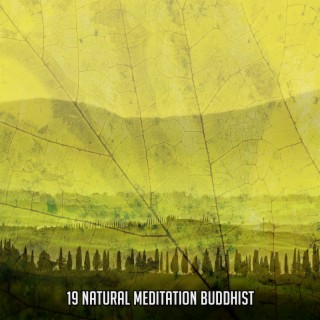 19 Bouddhiste de méditation naturelle (2022 Inquiet pour rien Records)