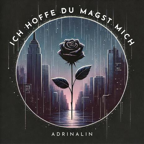 ICH HOFFE DU MAGST MICH | Boomplay Music