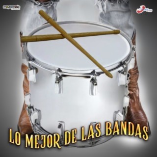 Lo Mejor De Las Bandas