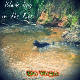 Black Dog in the River