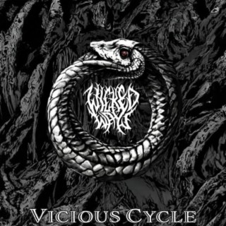 Vicious Cycle lyrics | Boomplay Music