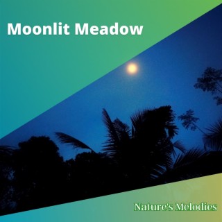 Moonlit Meadow