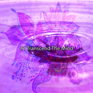 41 Transcender l'esprit (2022 No Minds Missing Records)