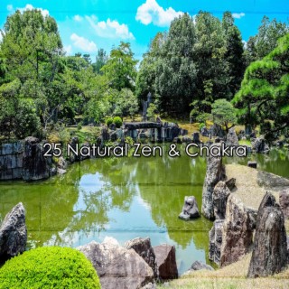 25 Zen naturel et Chakra (2022 This Way Is Diagonal Records)