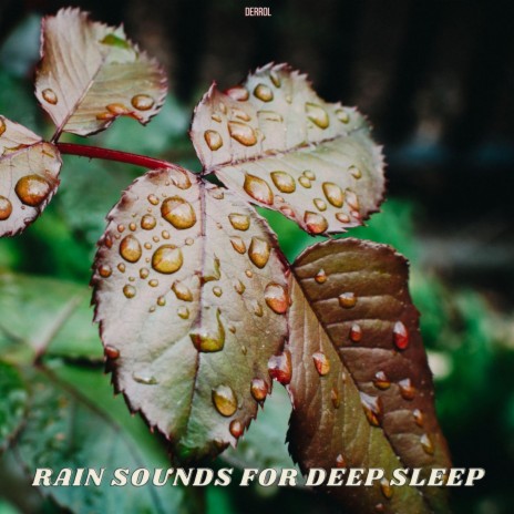 Rain Sounds for Studying ft. Rain Sounds | Boomplay Music