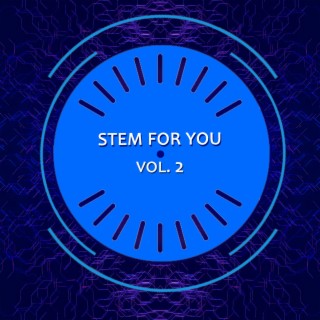 Stem For You Vol. 2 (Special Instrumental Versions)