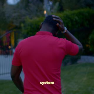 system (demo)