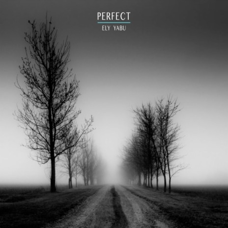 Perfect | Boomplay Music