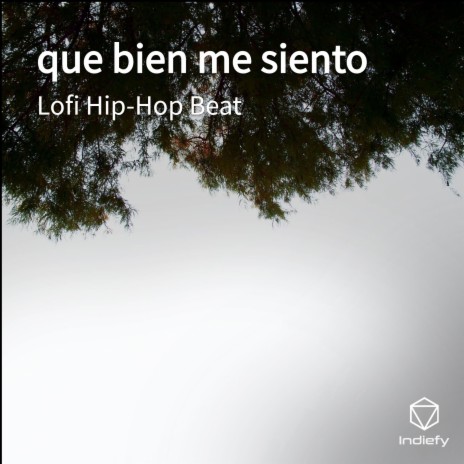 Que Bien Me Siento | Boomplay Music