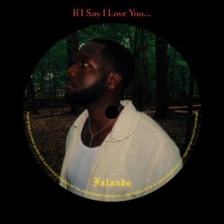 If I Say I Love You... lyrics | Boomplay Music