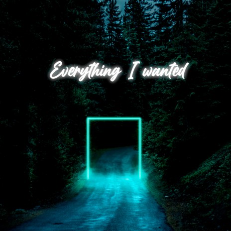Everything I Wanted | Boomplay Music