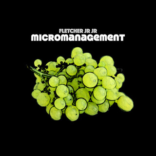 Micromanagement