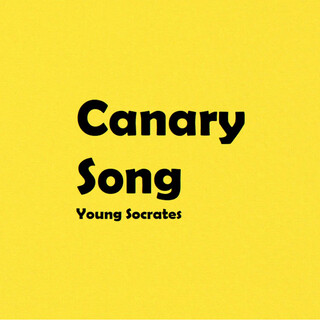 Canary Song