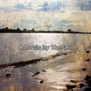 48 Musique au bord de la mer (2022 This Way Is Diagonal Records)