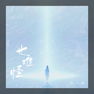 也难怪 lyrics | Boomplay Music