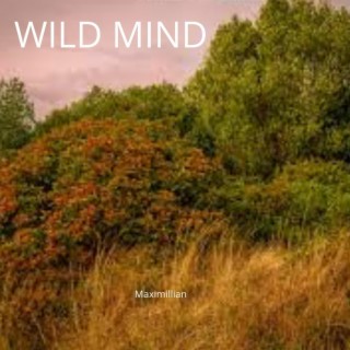 Wild Mid (Home Version)