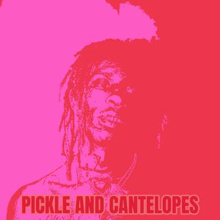 PICKLE AND CANTELOPES