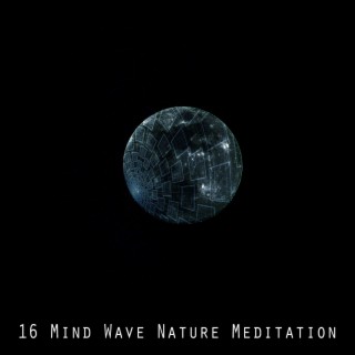 16 Mind Wave Nature Méditation (2022 Inquiet pour rien Records)