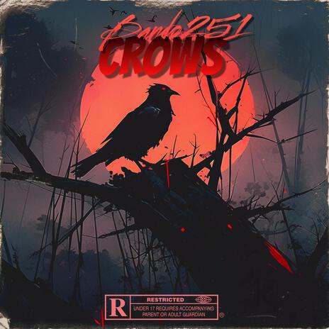 Crows | Boomplay Music