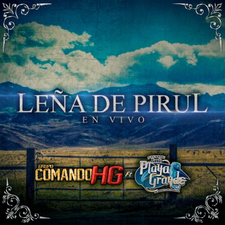 Leña de Pirul (en vivo) ft. Banda Playa Grande | Boomplay Music
