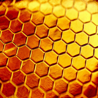 Hive