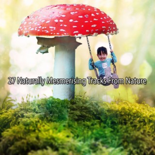 27 Pistes Naturellement Envoûtantes De La Nature (2022 Natures Stream Studios)