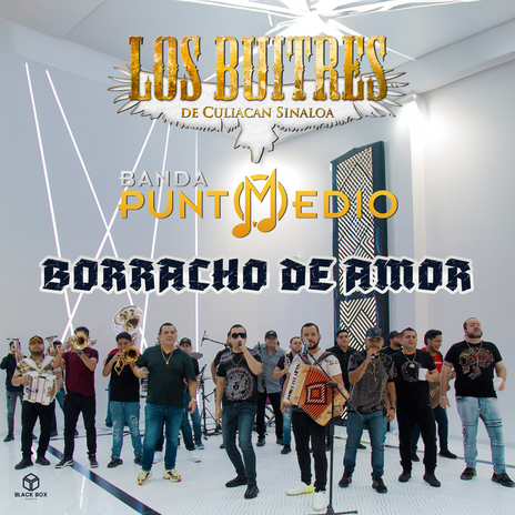 Borracho de Amor ft. Los Buitres de culiacan sinaloa | Boomplay Music