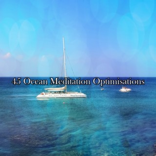 45 Optimisations de la méditation océanique (2022 Inquiet pour rien Records)