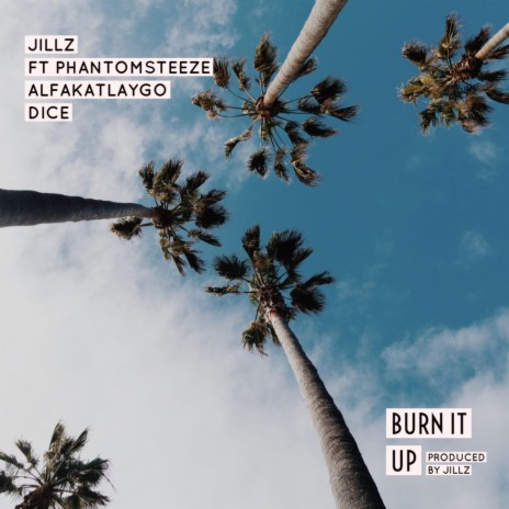 Burn It Up (feat. Phantom Steeze, ALFAKATLAYGO & Dice) | Boomplay Music