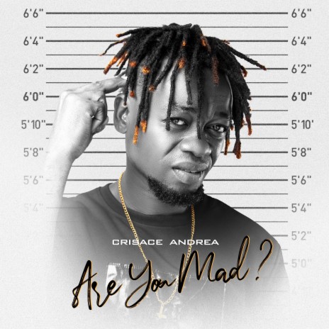 Are You Mad? | Boomplay Music