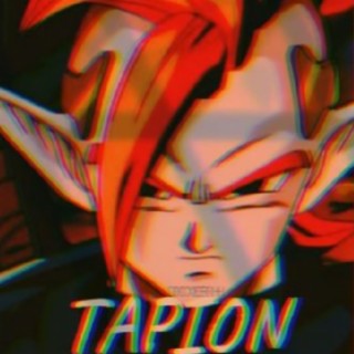 TAPION