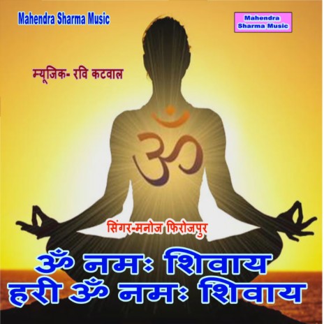 Om Namah Shivay Hari Om Namah Shivay | Boomplay Music