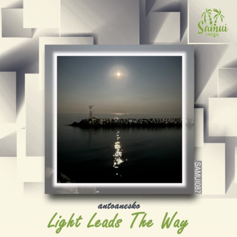 Light Leads The Way