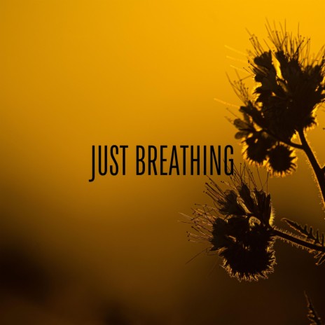 Just Breathing ft. Nylonwings | Boomplay Music