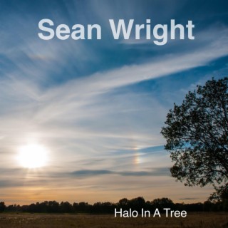 Halo In A Tree