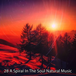 28 Une spirale dans l'âme Musique naturelle (2022 This Way Is Diagonal Records)