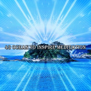 43 L'océan pour inspirer la méditation (2022 This Way Is Diagonal Records)