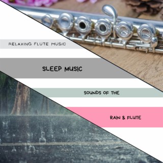 Sleep Music, Sounds of the Rain & Flute