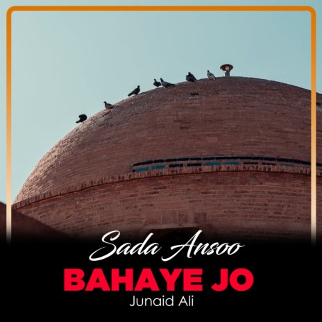 Sada Ansoo Bahaye Jo | Boomplay Music