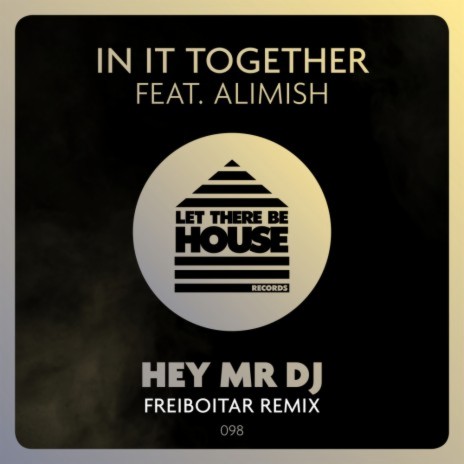 Hey Mr DJ (Freiboitar Extended Remix) ft. Freiboitar | Boomplay Music