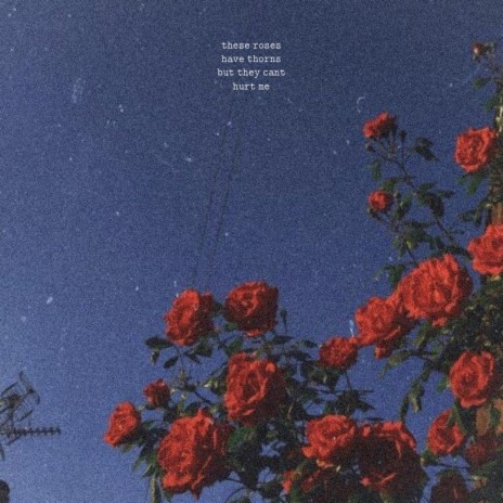 rose gardens | Boomplay Music